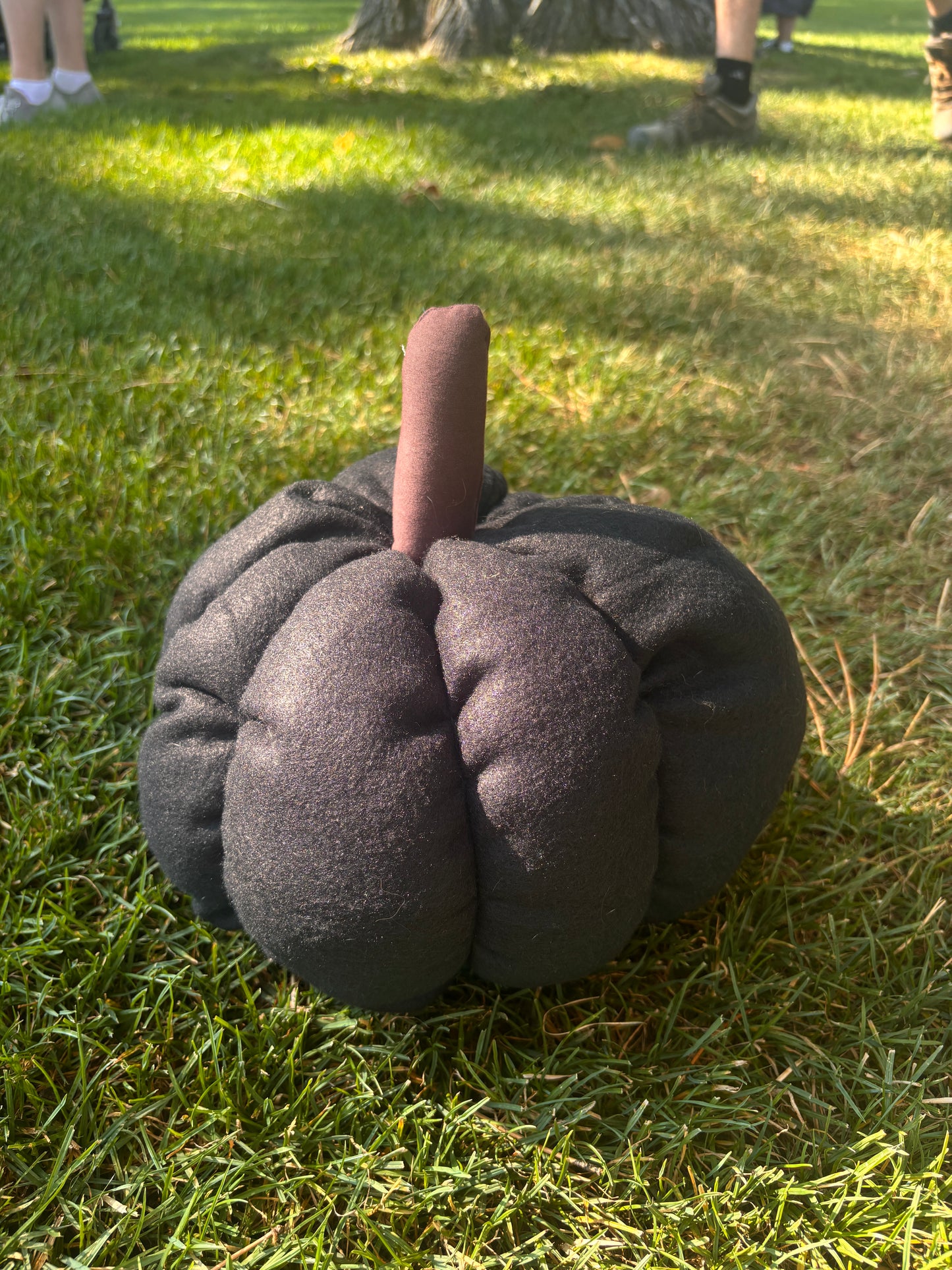 Pumpkin pillows