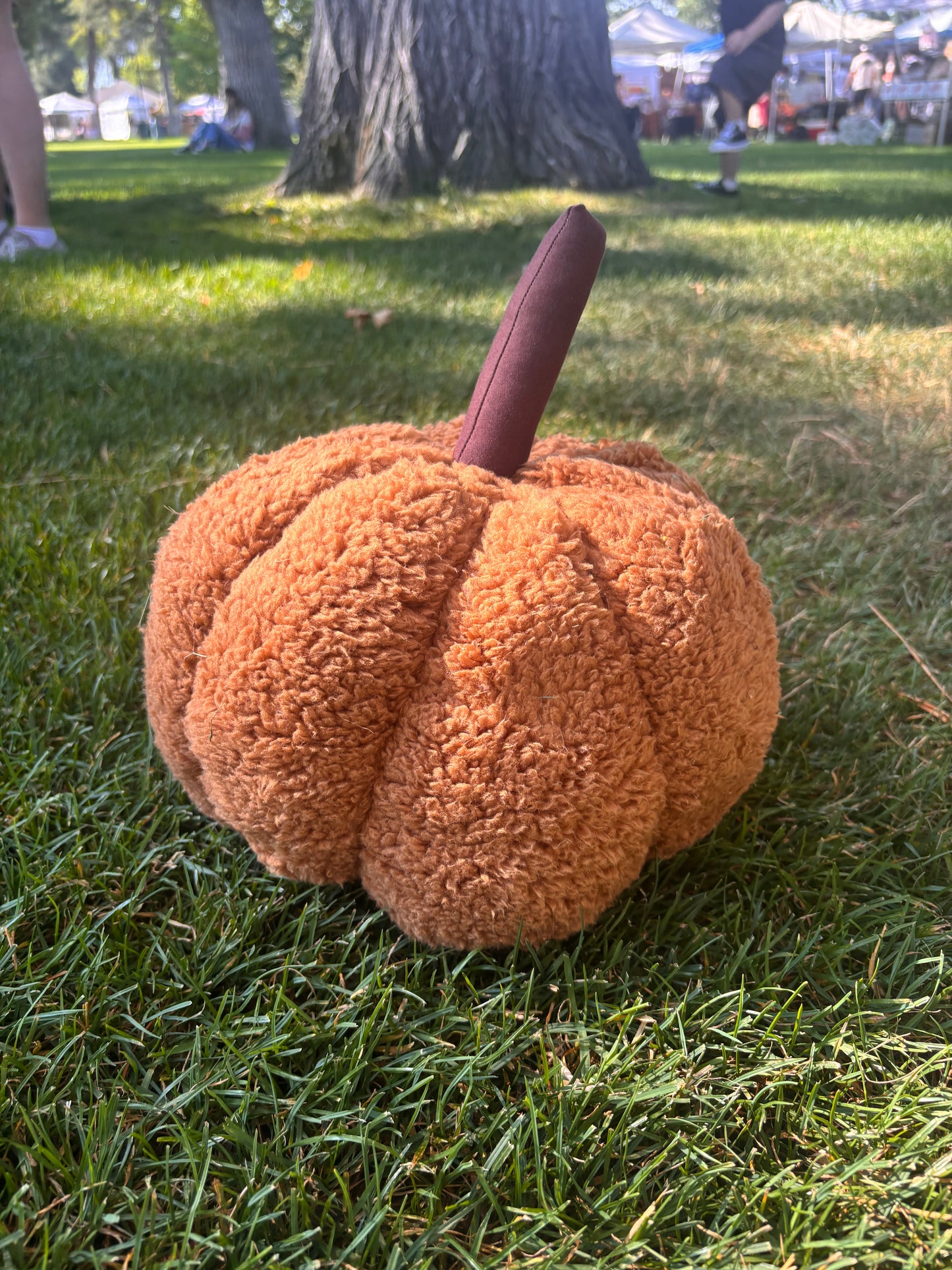 Pumpkin pillows